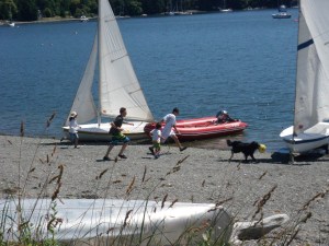 World Cup Ball Thief