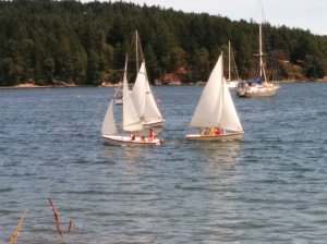 Sawimming Sailors (10)